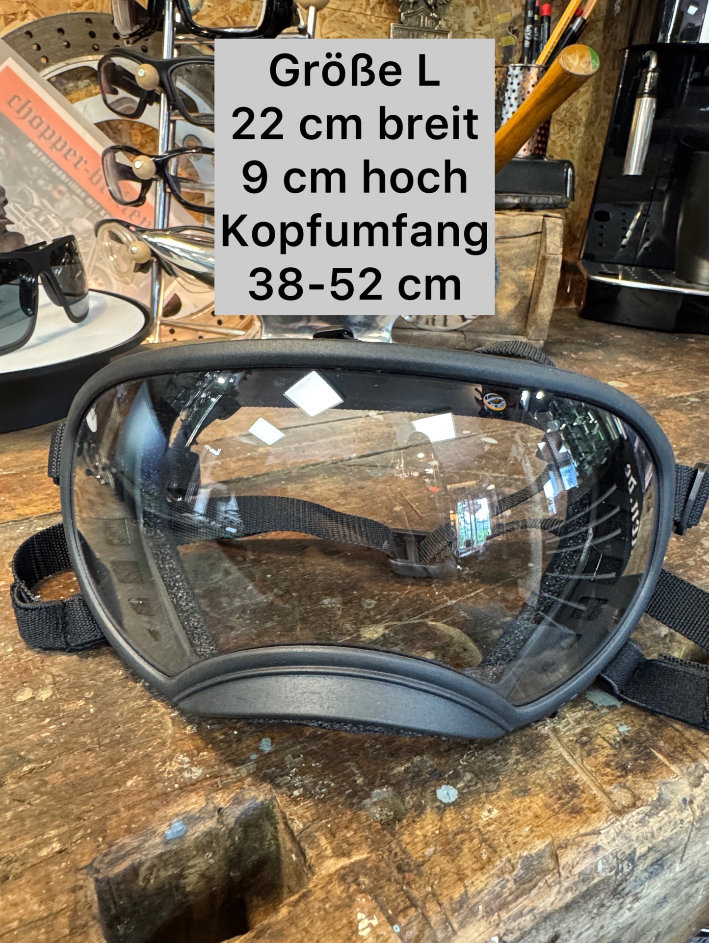 Dog googles